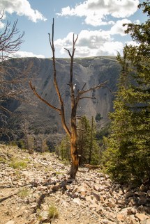 29293239921_8700f59102_z